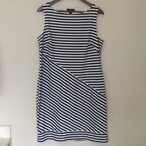 Chaps Navy/White Stretch Cotton Sheath sz 14